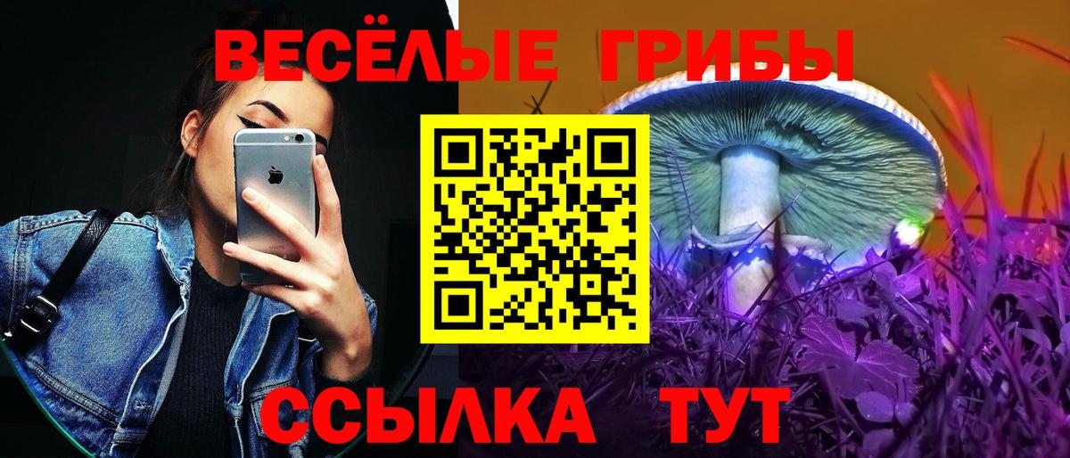 Псилоцибиновые грибы GOLDEN TEACHER Лобня
